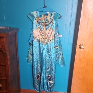 Disney Girls Teal and Gold Peacock Princess Costume